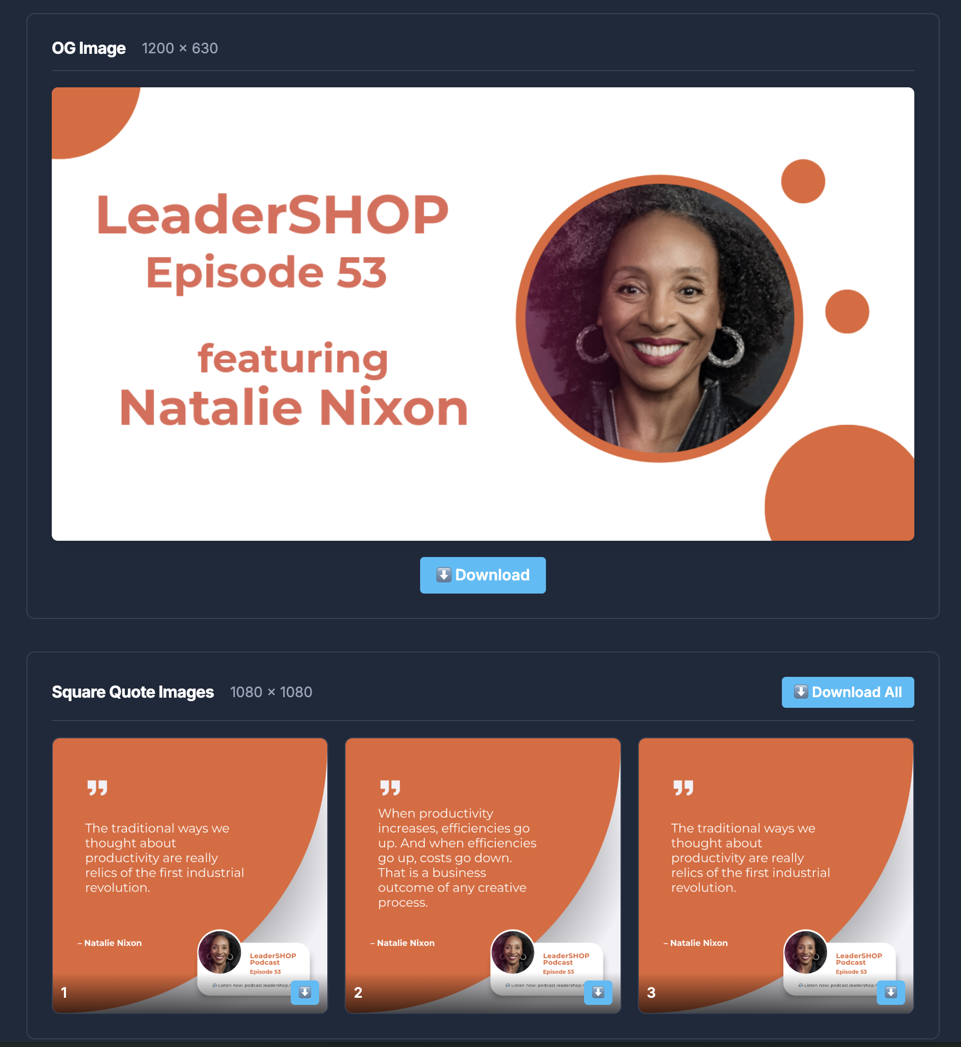 WiseSquid asset preview showing OG image and quote cards